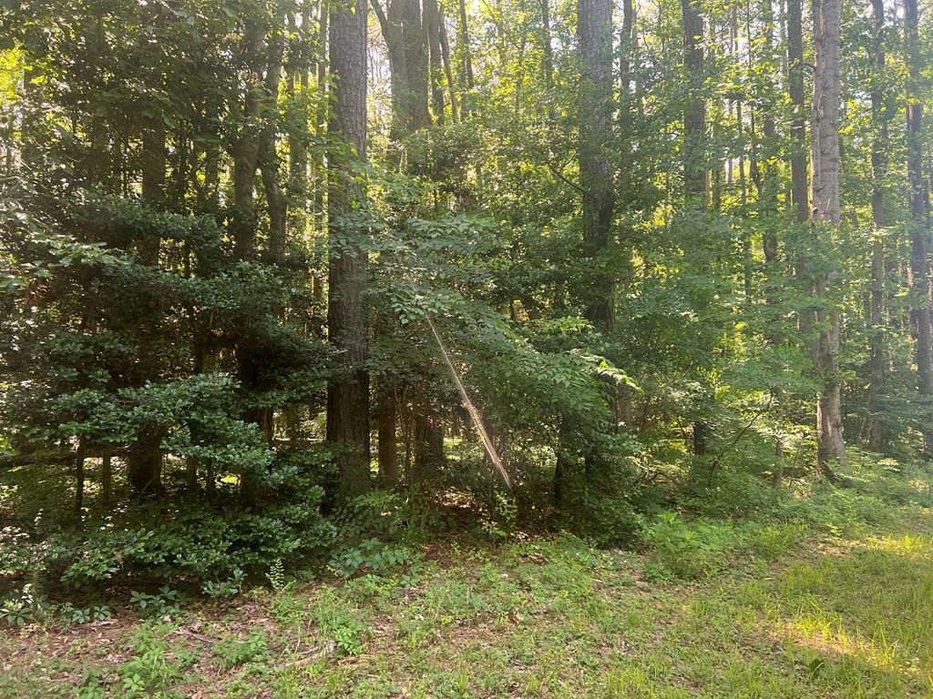 125 Blackberry Rd