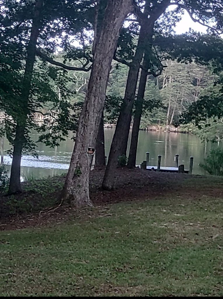 21 Cross Street Dock Access
