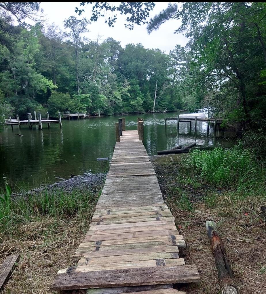 Dock Wooded View