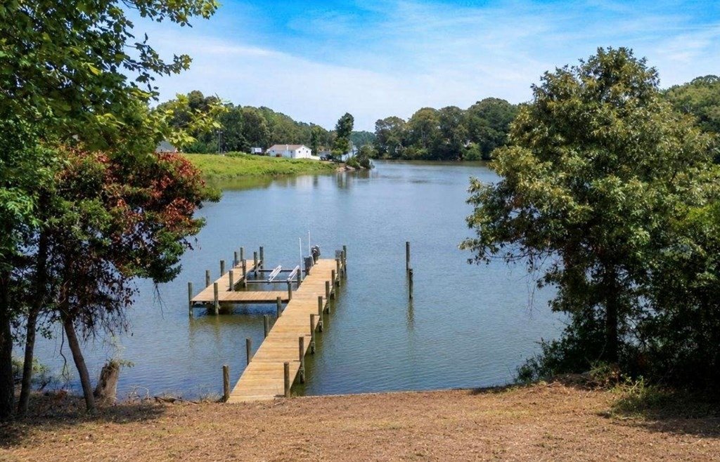 Waterfront View Glebe Creek